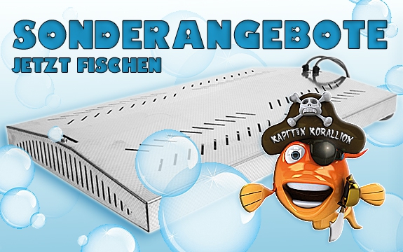 KORALLION Sonderangebote