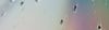 GIESEMANN Schutzglas f�r INFINITI