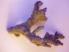 CORALSANDS Epoxyd Stein 28754